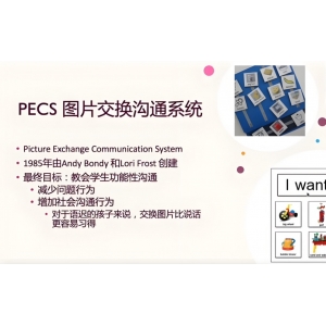 图像交换沟通系统学习的第二阶段：扩大主动性